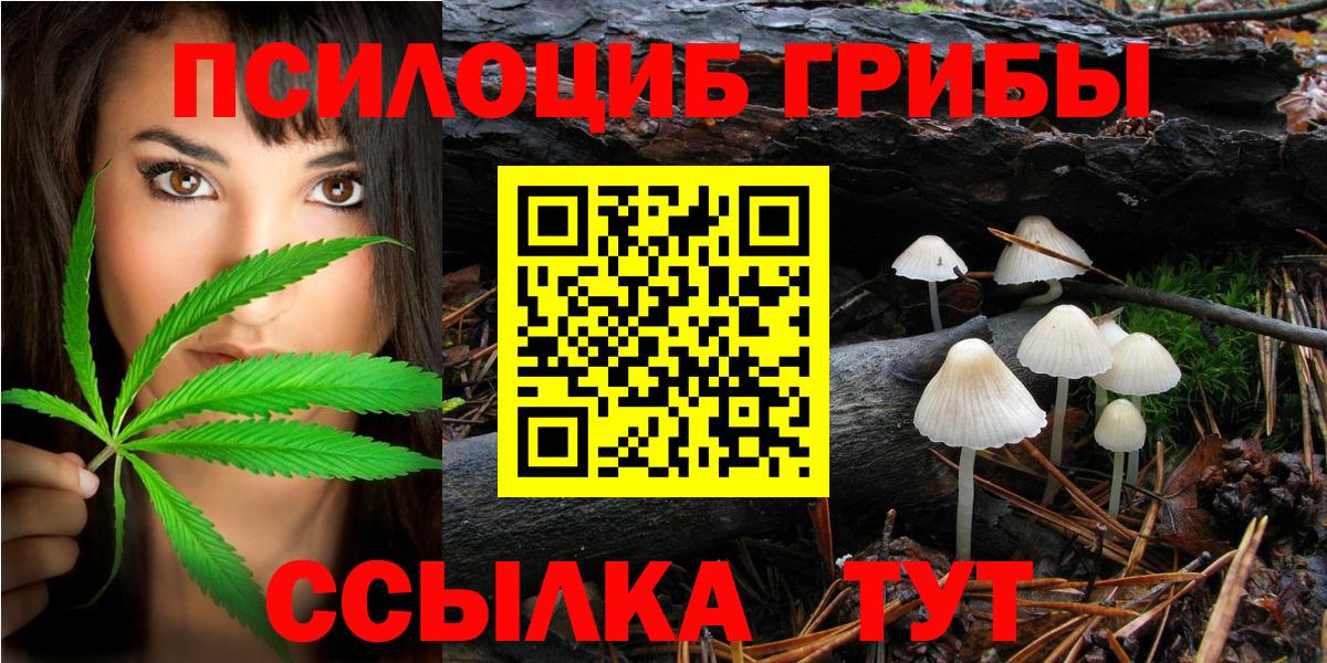 Галлюциногенные грибы MAGIC MUSHROOMS  Вход с VPN  Торжок  Псилоцибиновые грибы Magic Shrooms 