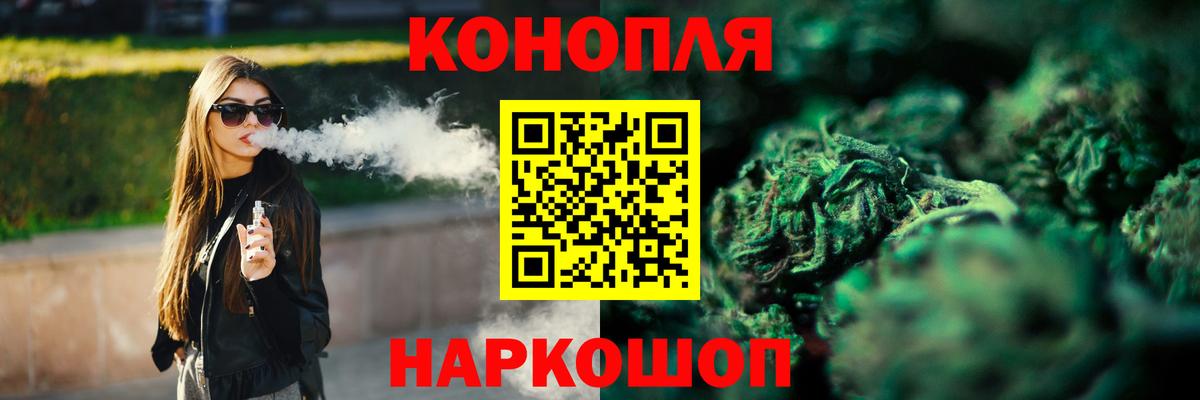 Канабис сатива Торжок